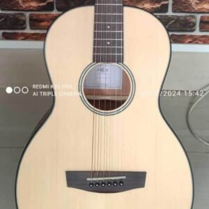 Hex semi Acoustic Guitar