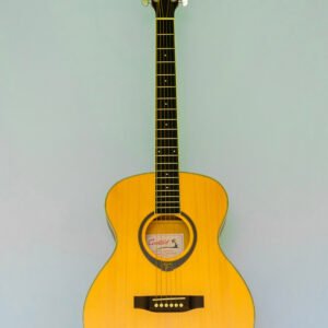 Acoustic Guitar – Cantavil