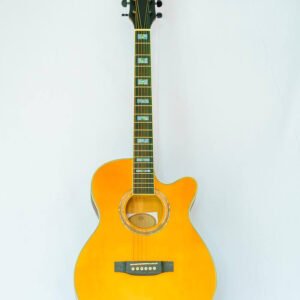 Acoustic Guitar – Vajra