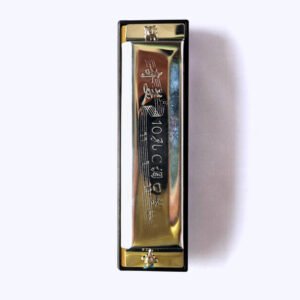 Mouth harmonica 10 holes