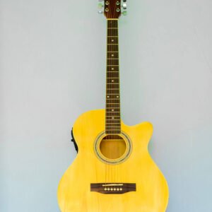 Semi Acoustic Guitar
