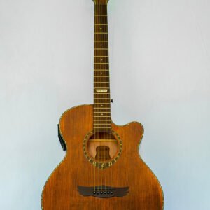 Semi Acoustic Guitar – M 205